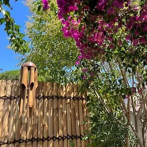 Avec Rez De Jardin Six-Fours-les-Plages